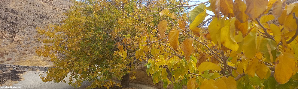 کوه گردو اراک